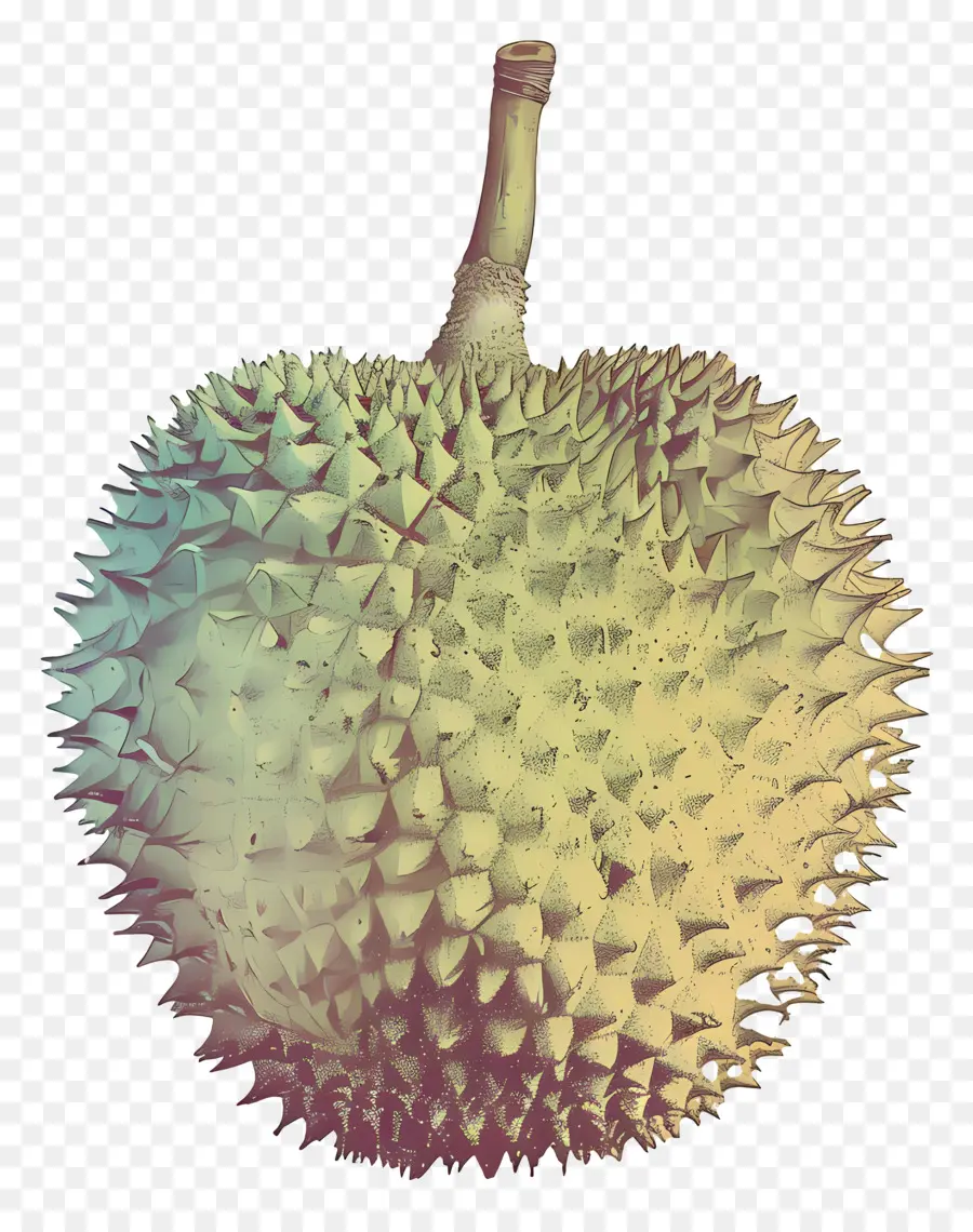 Durian，Fruta Del Dragón PNG
