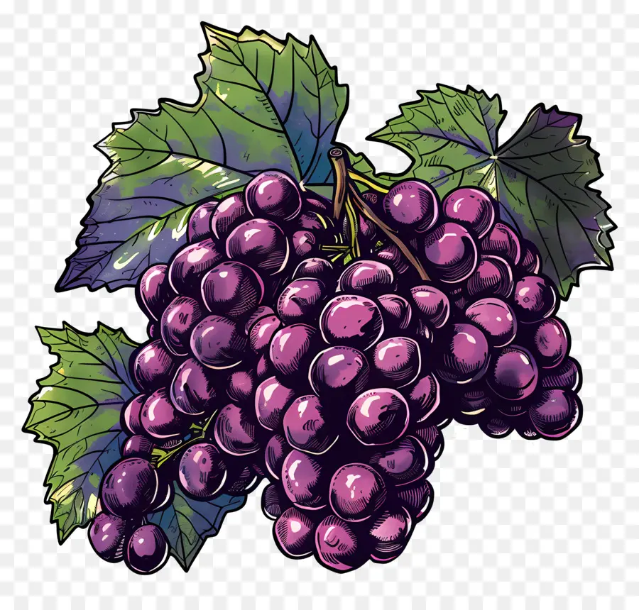 Las Uvas，Morado PNG