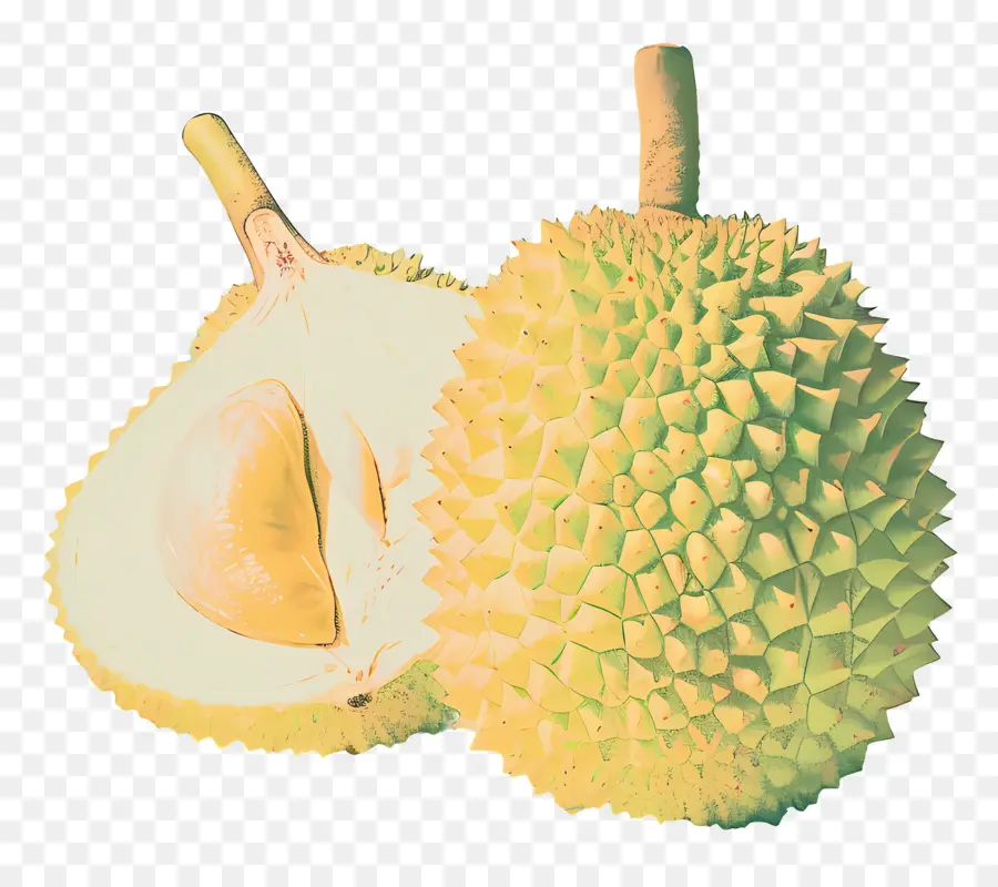 Durian，La Fruta PNG