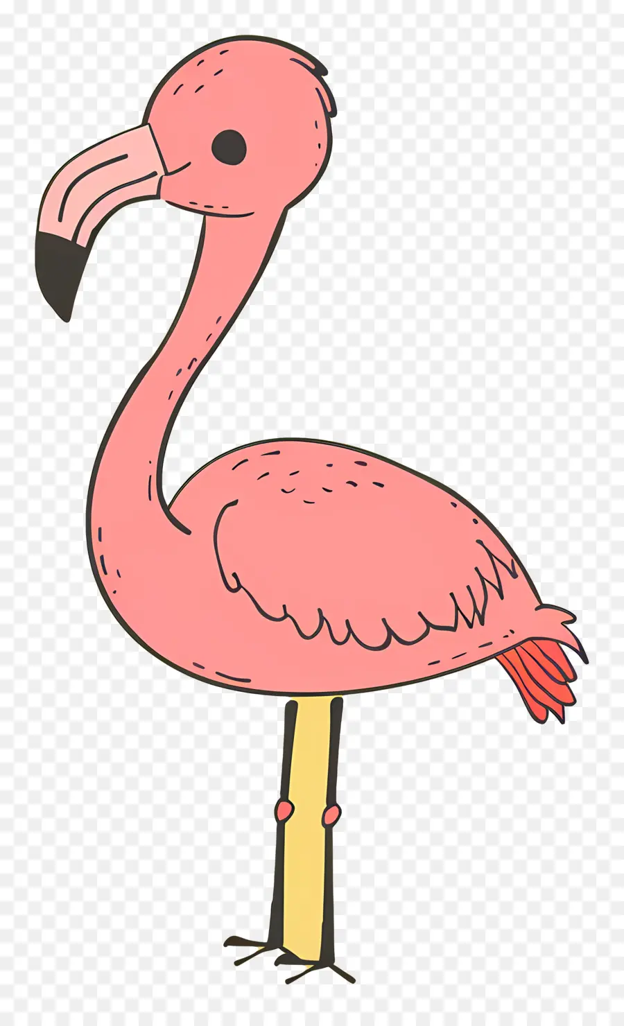 Flamingo，Flamenco Rosado PNG