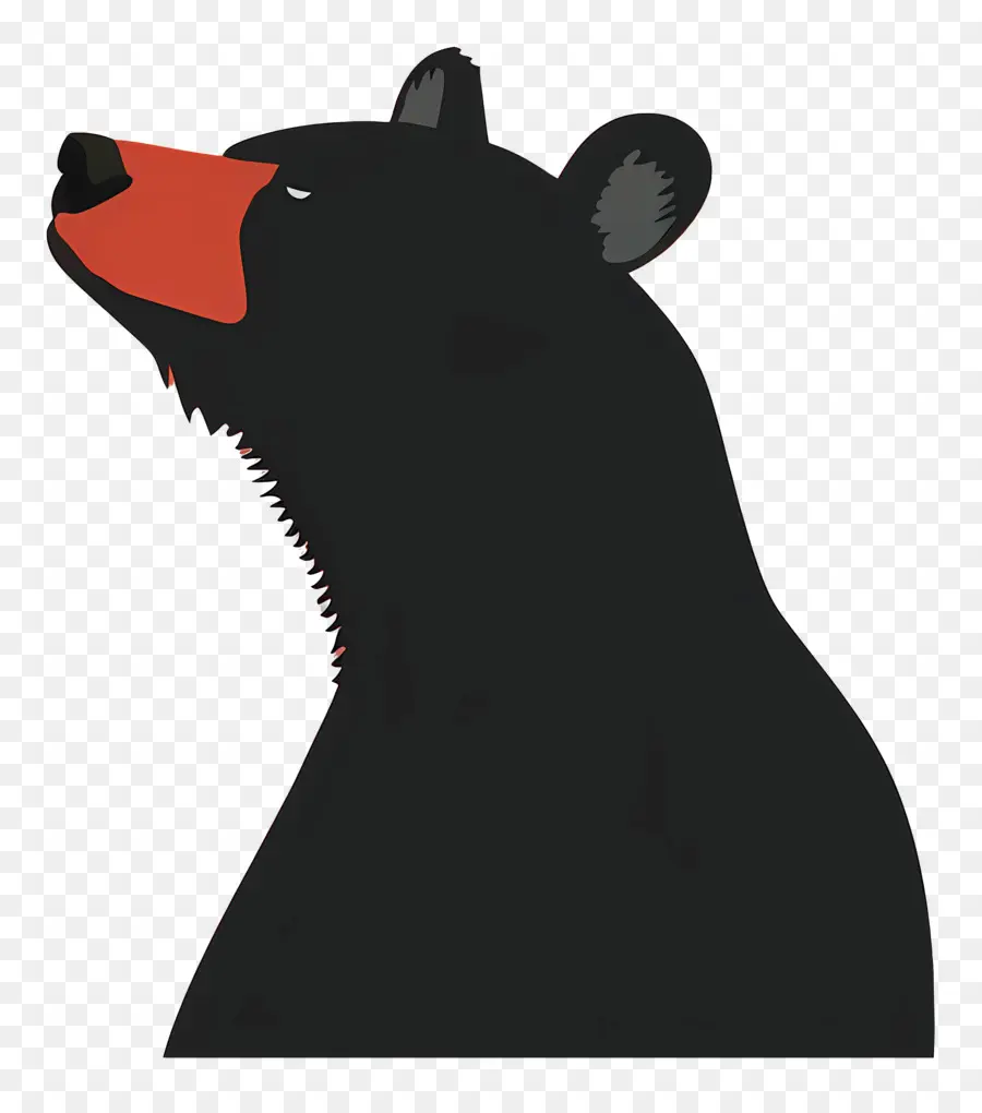 Oso，El Oso Negro PNG