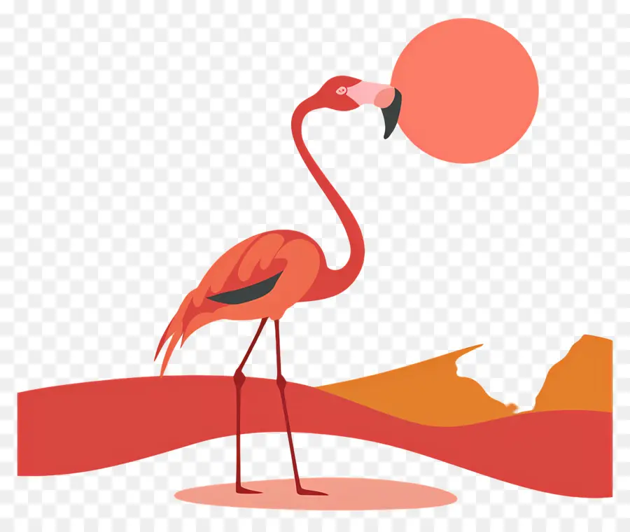 Flamingo，Flamenco Rosado PNG