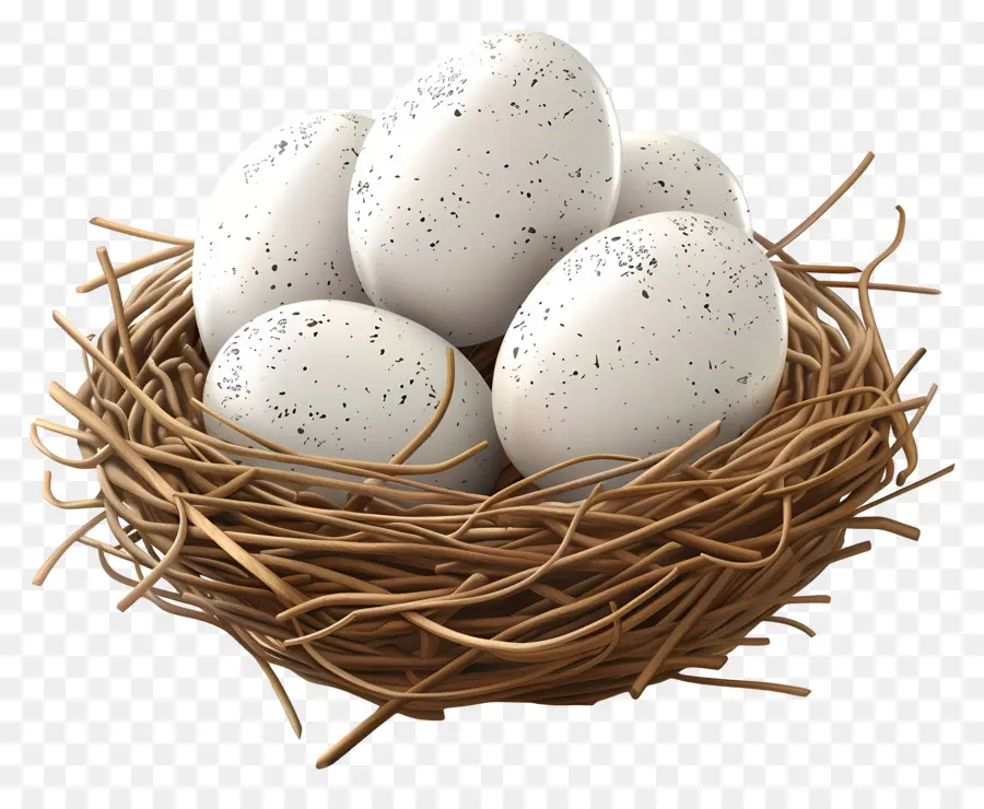 Los Huevos De Aves，Nido PNG