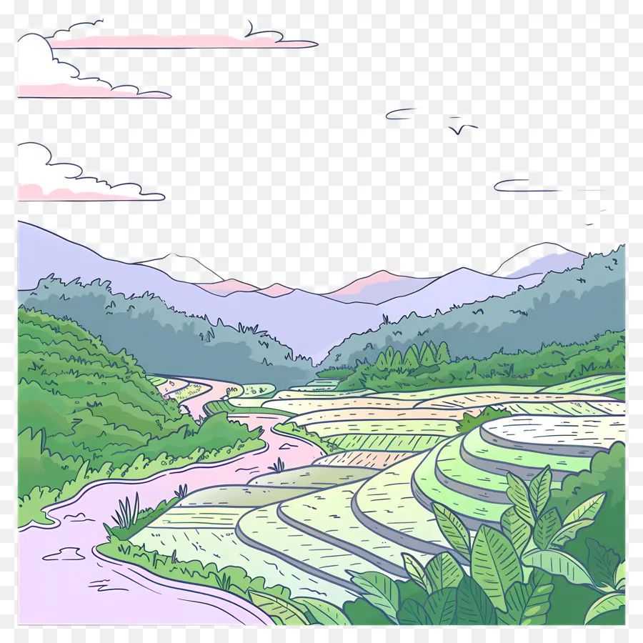 Campo De Arroz，Paisaje PNG