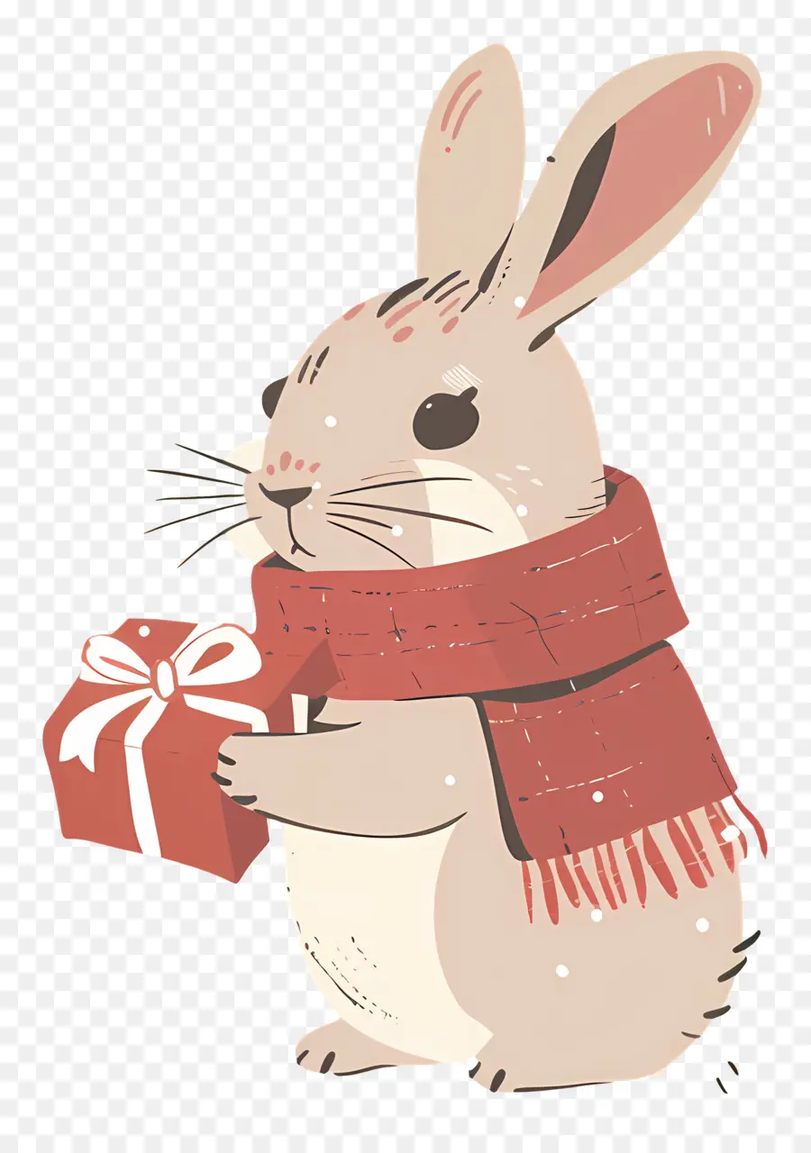 Conejo，Regalos De Navidad PNG