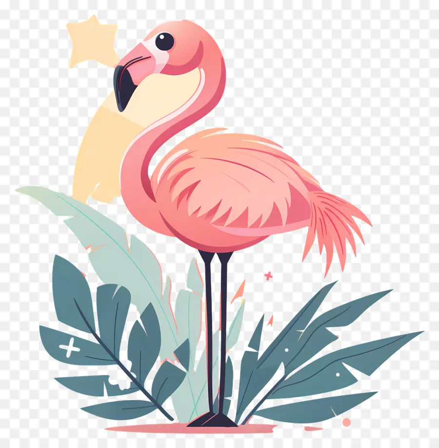 Flamingo，Flamenco Rosado PNG