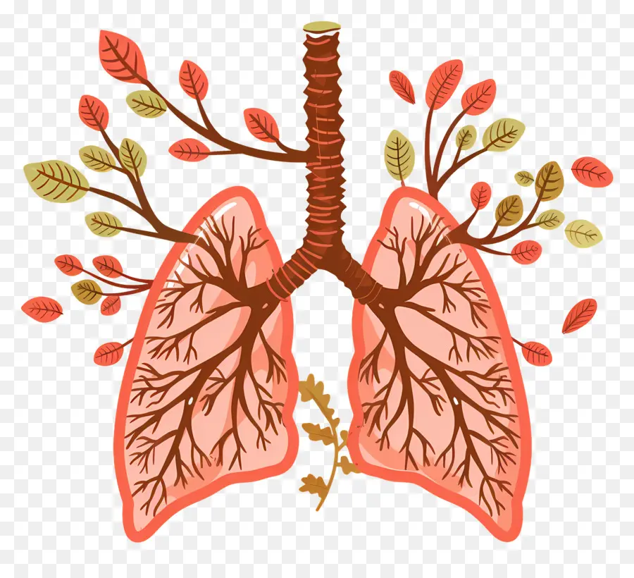 Día Del Mundo De Bronquiectasia，Pulmón Humano PNG