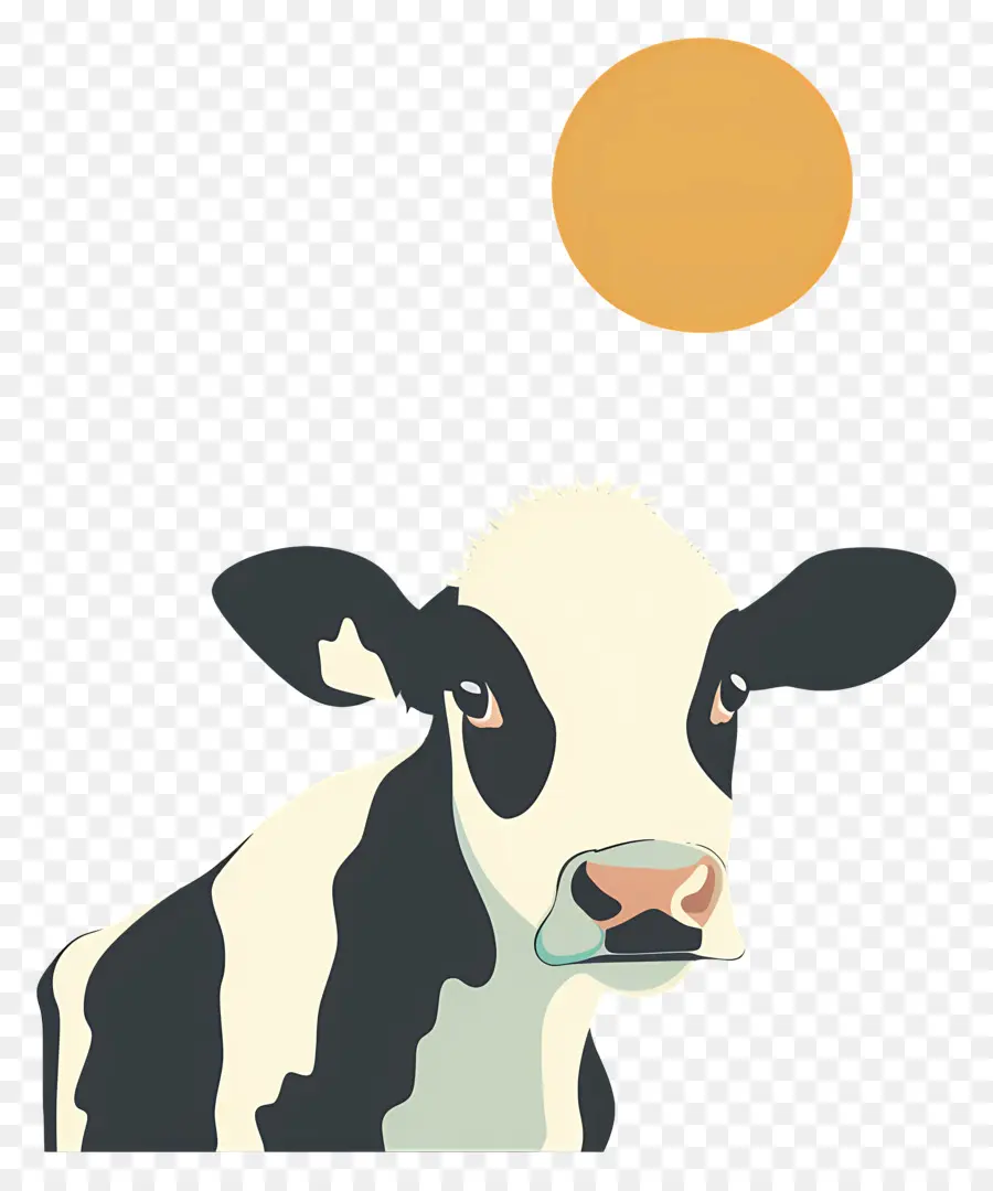 Vaca，En Blanco Y Negro PNG