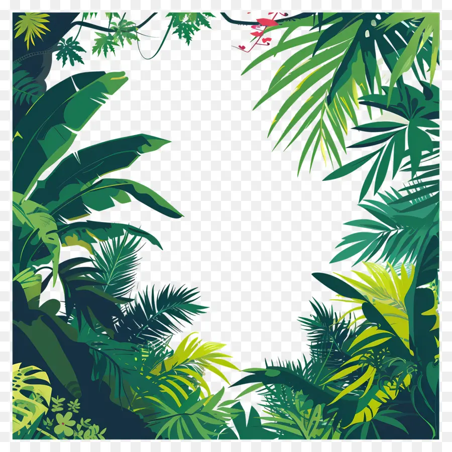 Fondo De La Jungla，Bosque Tropical PNG