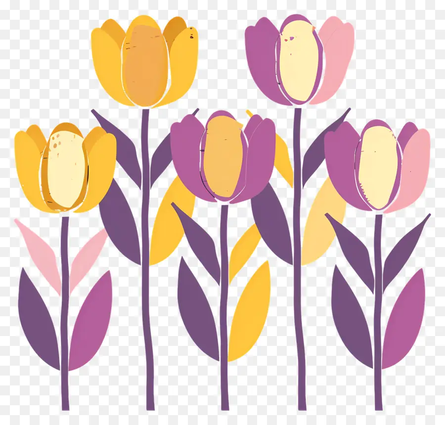 Los Tulipanes，Morado PNG