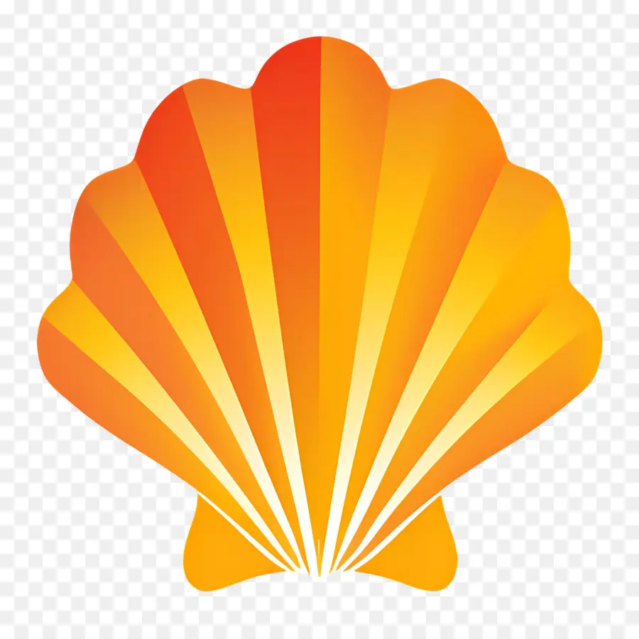 Concha，Shell PNG