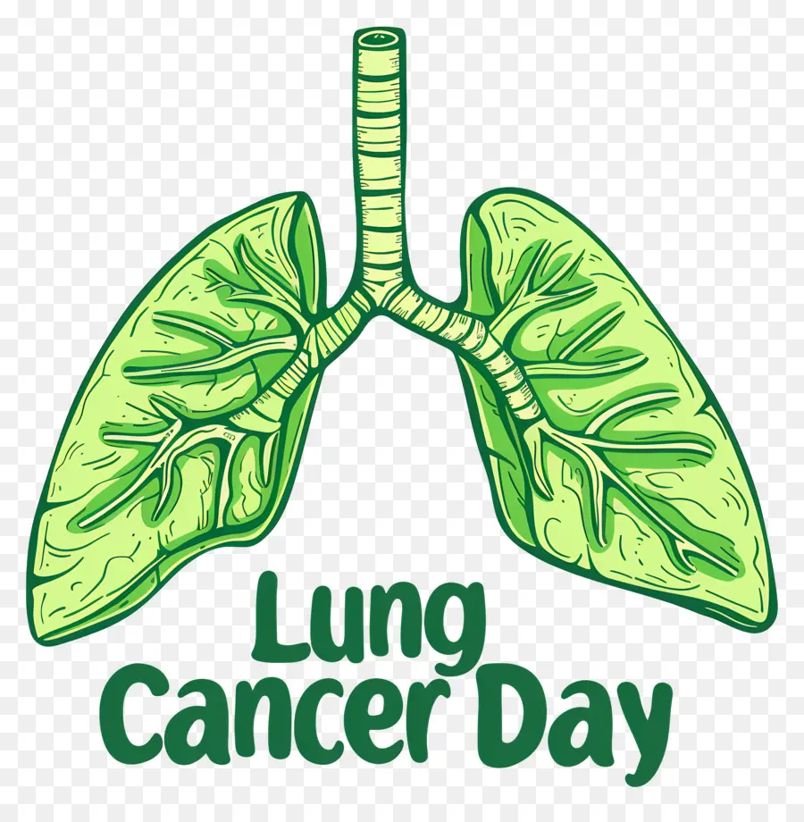 Día Mundial Del Cáncer De Pulmón，Pulmones PNG