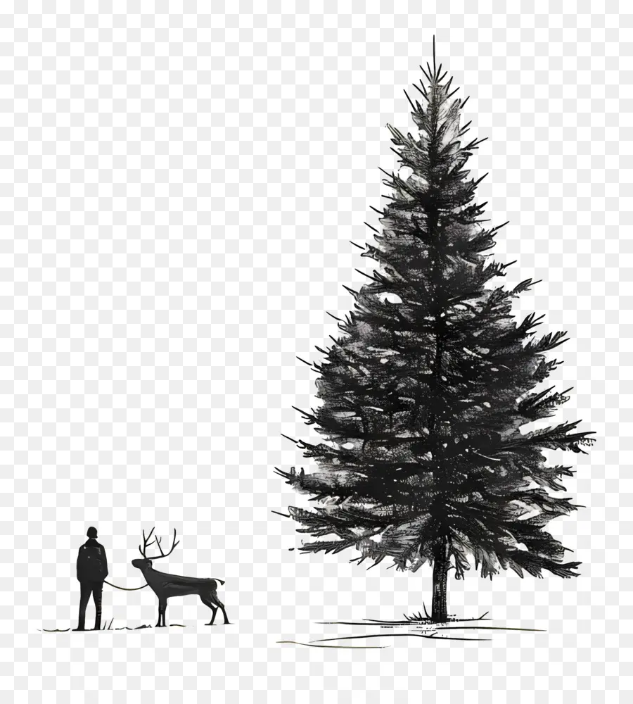árbol De Navidad，Composición PNG