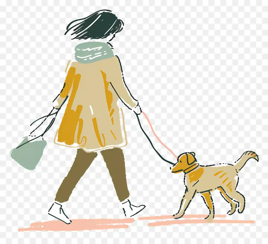 Mujer Perro Paseando，Mujer PNG