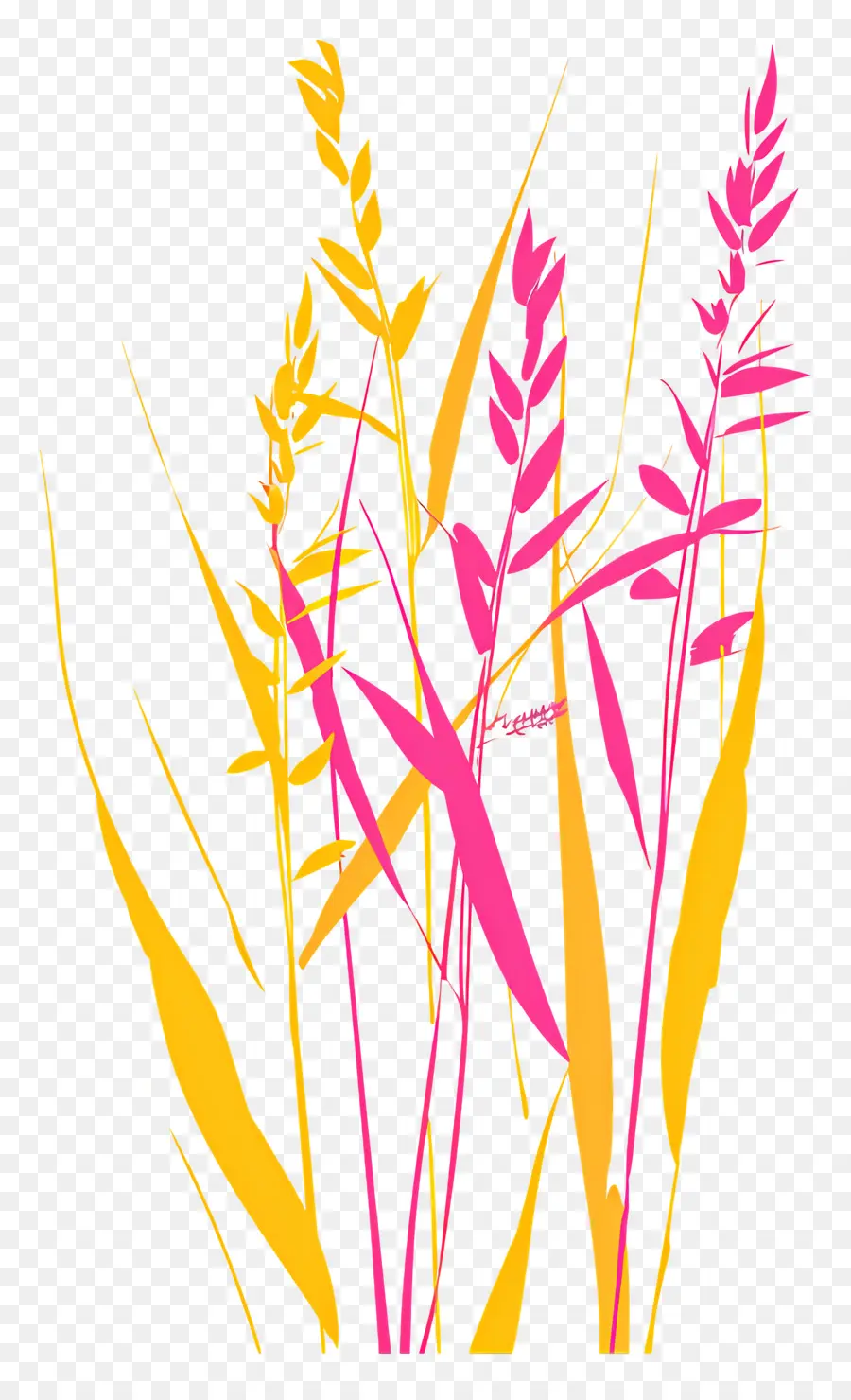 Avena，Ilustración Floral PNG