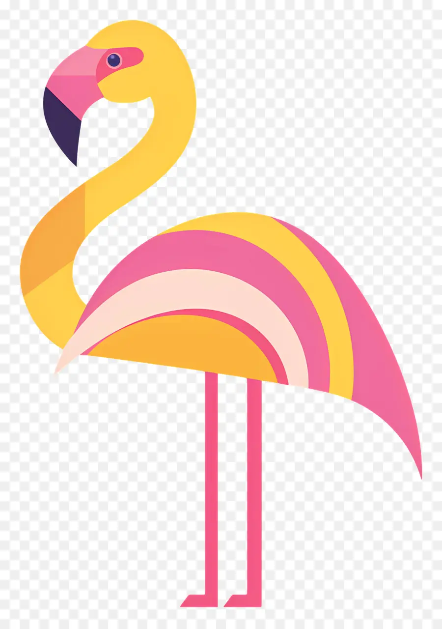 Flamingo，Aves PNG