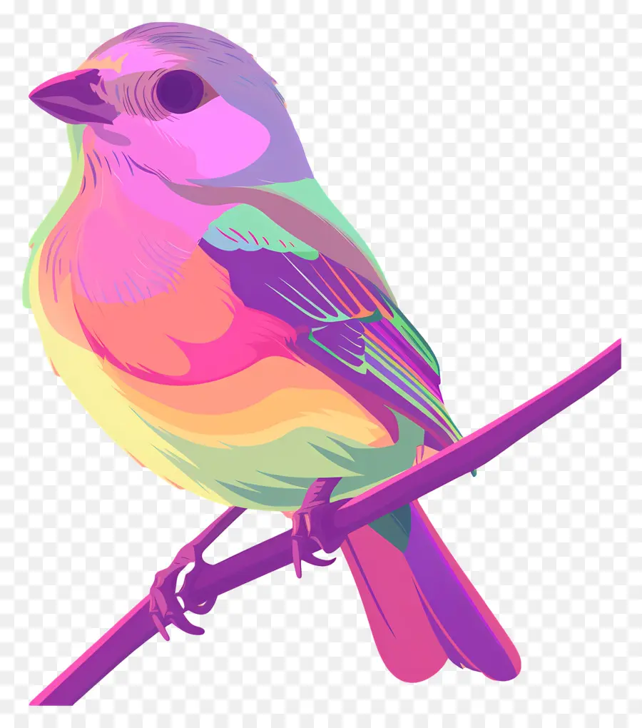 Pájaro，Pájaro Colorido PNG