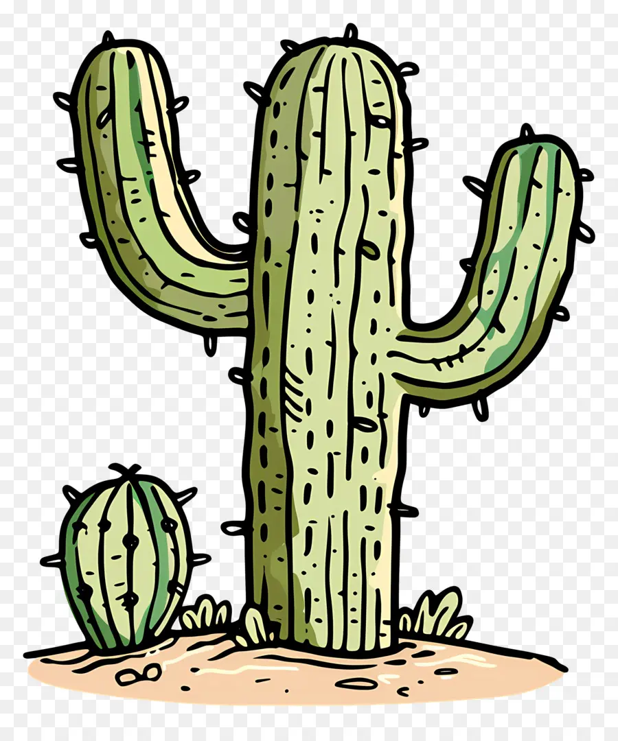 Cactus De Desierto，Cactus PNG
