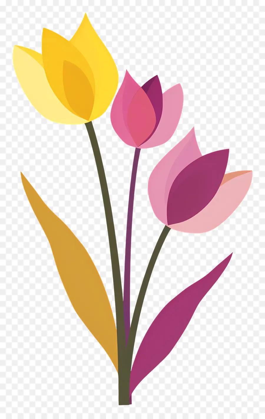 Los Tulipanes，Ramo PNG