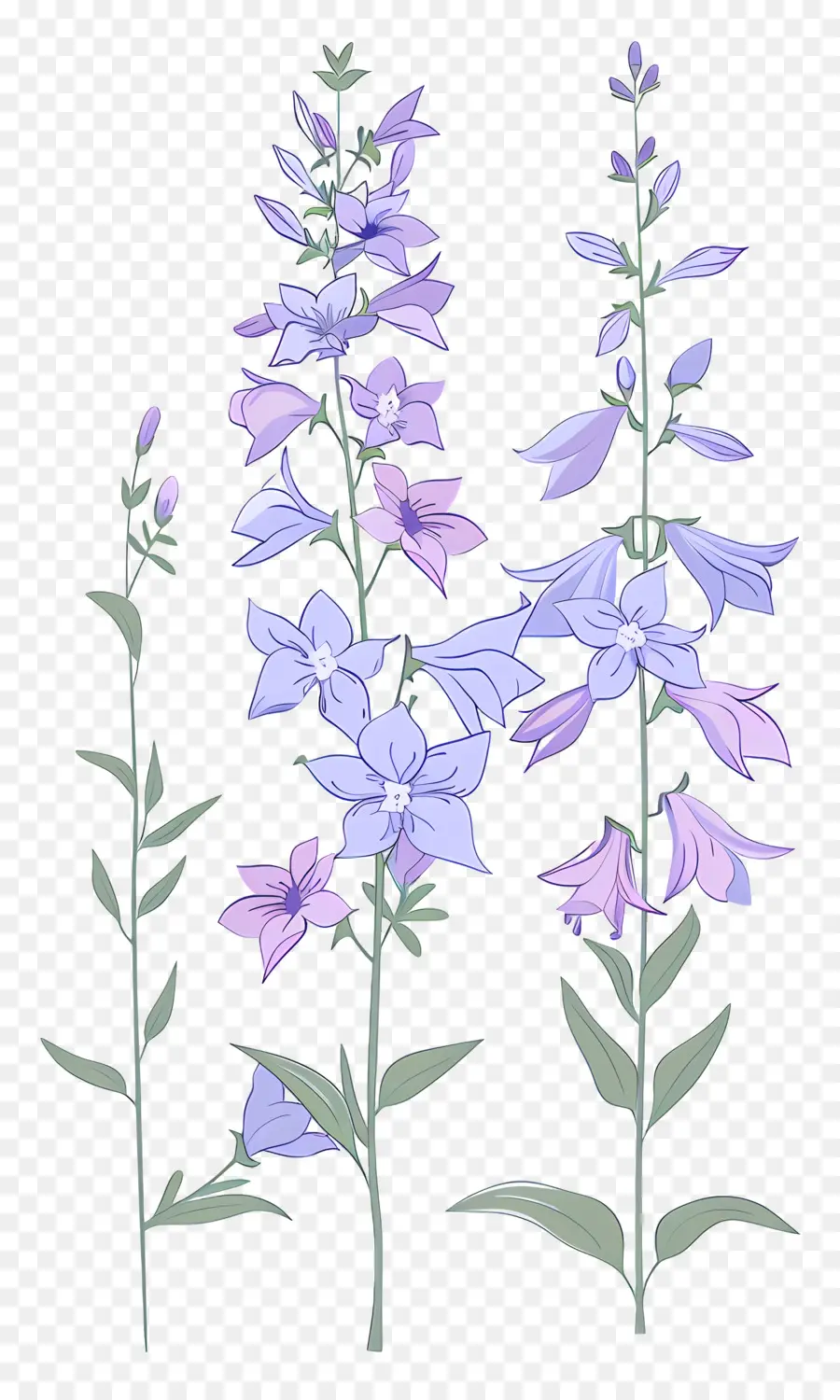 Larkspur，Flores De Color Púrpura PNG