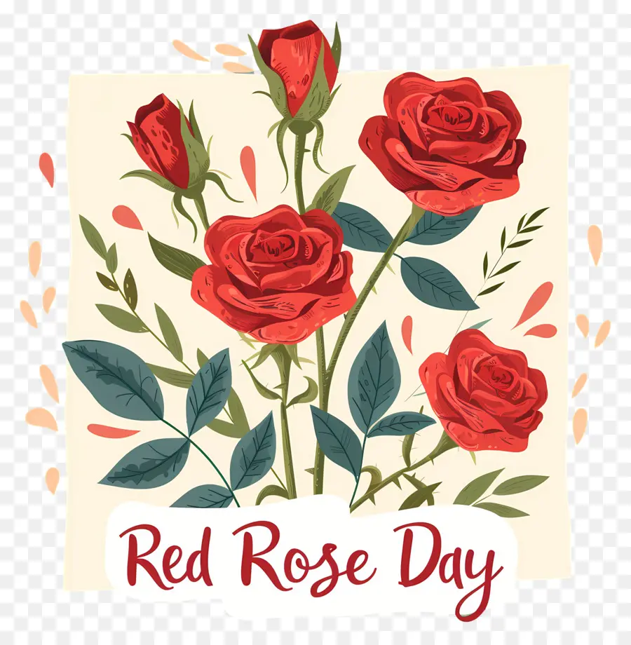 Día De La Rosa Roja，Rosas Rojas PNG