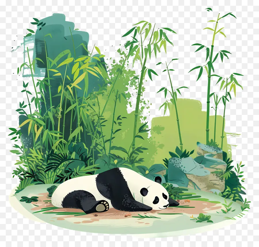 Panda Durmiendo，Panda PNG