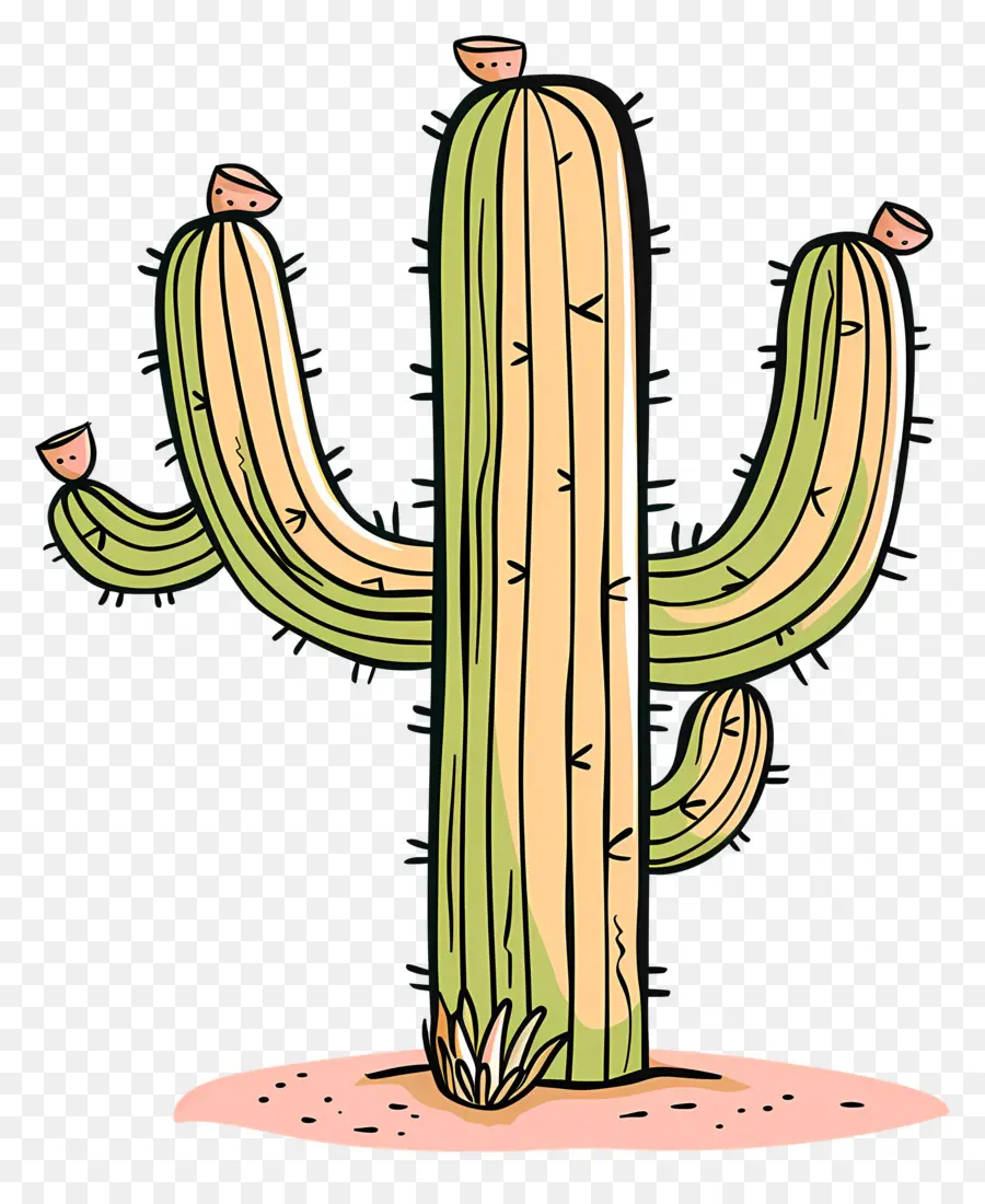 Cactus De Desierto，Planta De Cactus PNG