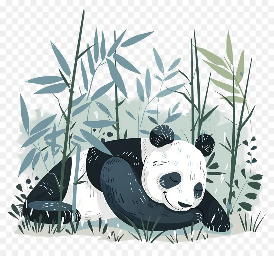 Dormir Panda，Oso Panda PNG