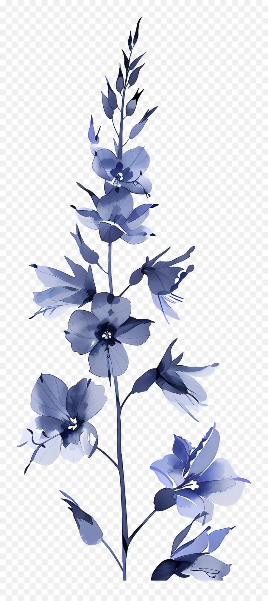 Larkspur，Flor Azul PNG