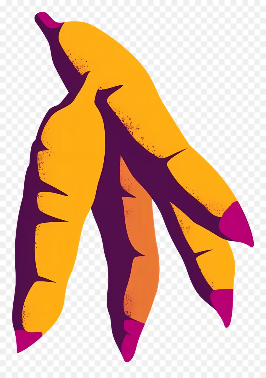 La Cúrcuma，Las Zanahorias PNG