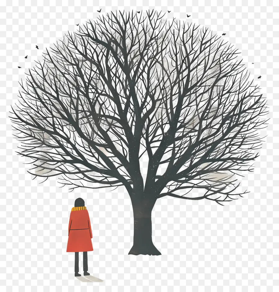 árbol，Árbol PNG