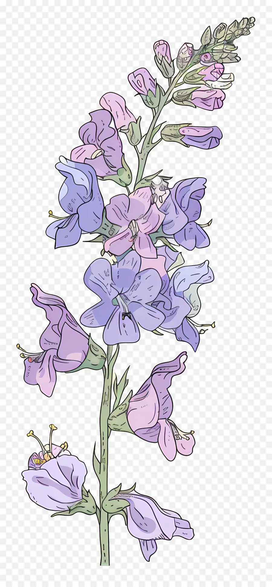 Larkspur，Púrpura De Flores Silvestres PNG