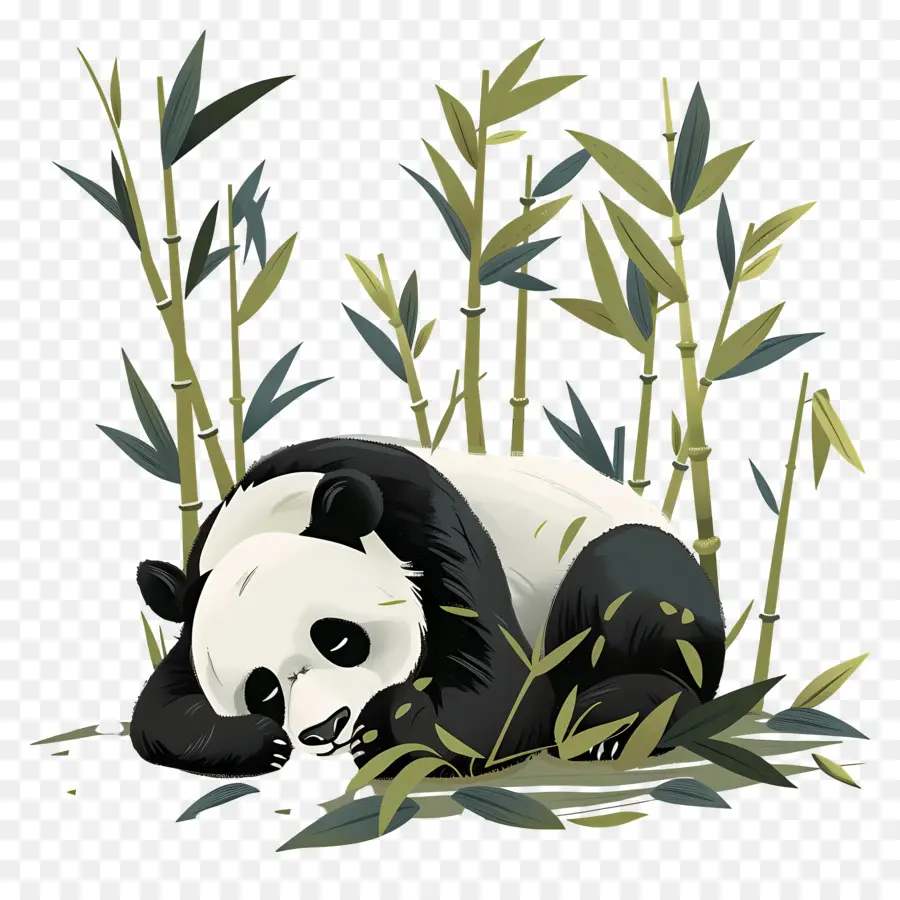 Panda Durmiendo，Panda Durmiente PNG