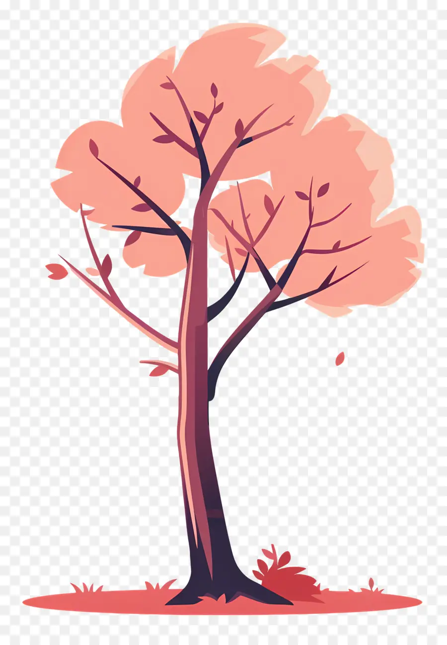 árbol，Árbol De Cerezo En Flor PNG