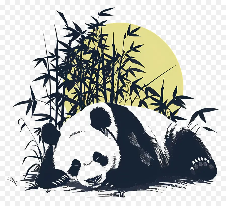 Panda Durmiendo，Panda PNG