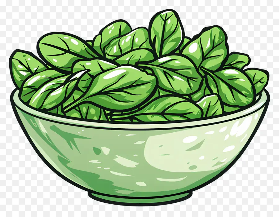 Ensalada De Espinacas，Espinaca PNG