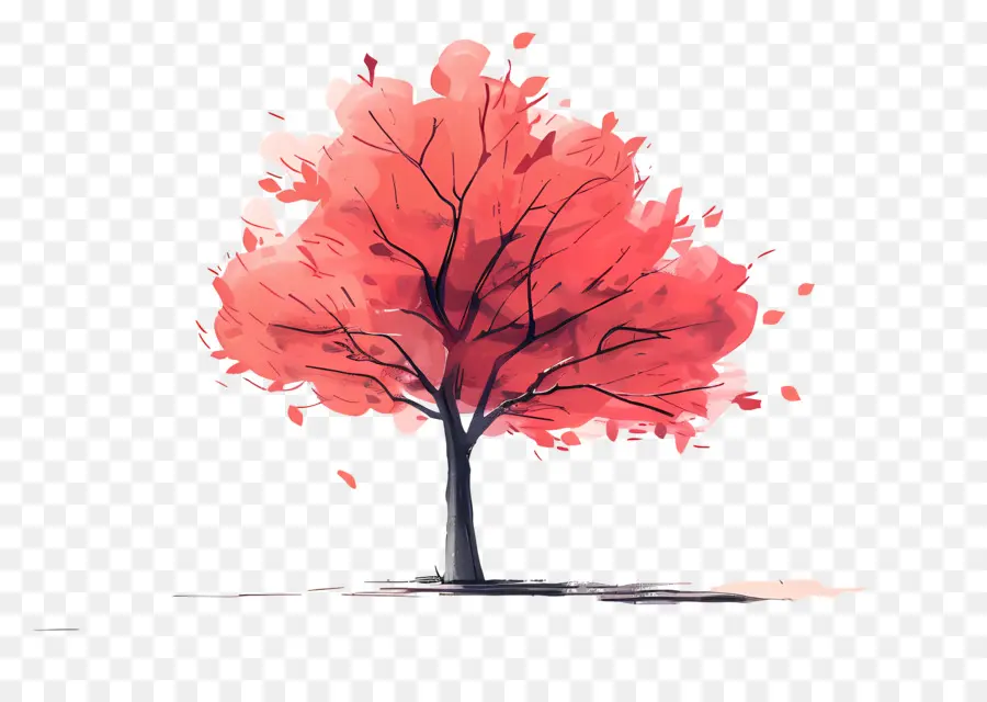 árbol De Arce，Las Hojas De Color Rojo PNG