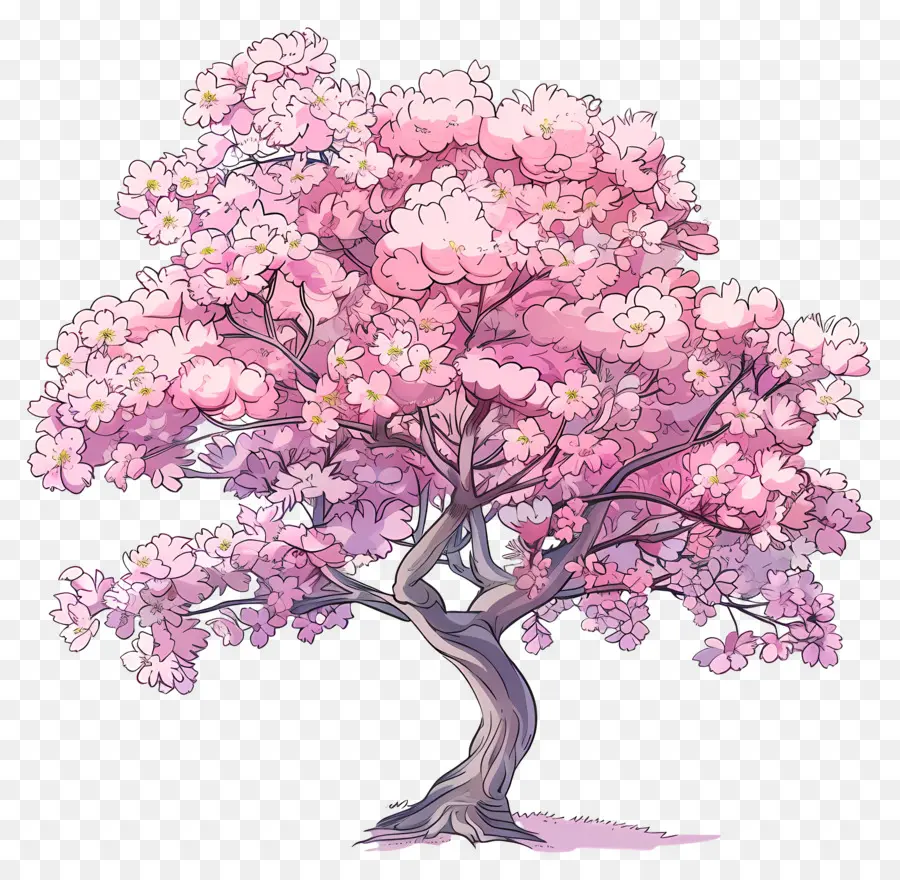 Flor De Cerezo，árbol De Sakura PNG