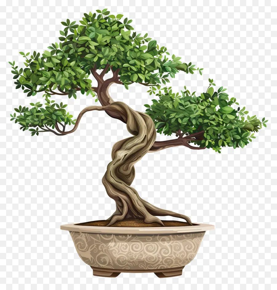 Planta De Bonsai，Bote De árbol PNG