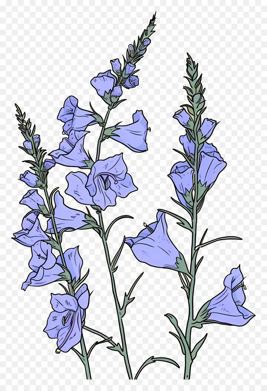 Larkspur，Flores De Color Púrpura PNG