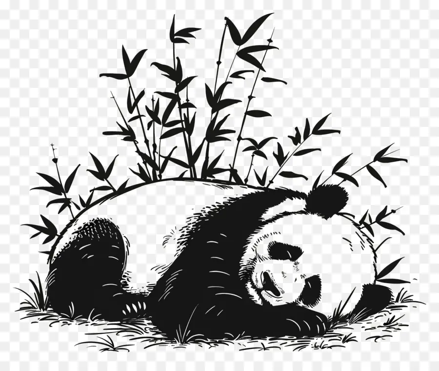 Dormir Panda，Oso Panda PNG