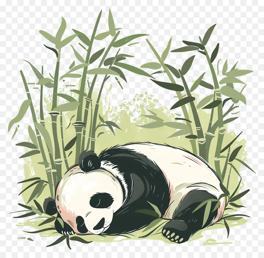 Dormir Panda，Oso Panda PNG