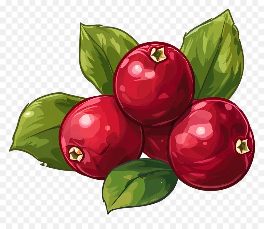 Arándano，Manzana Roja PNG