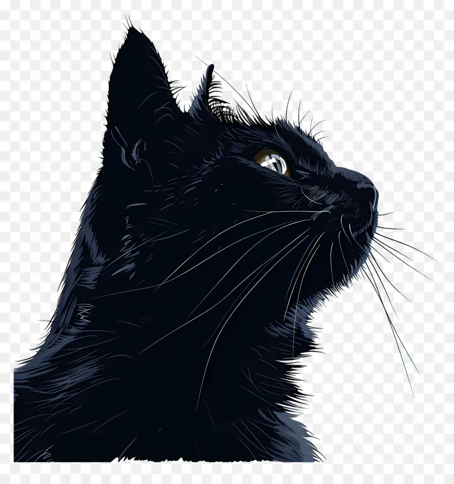 Gato，Gato Negro PNG