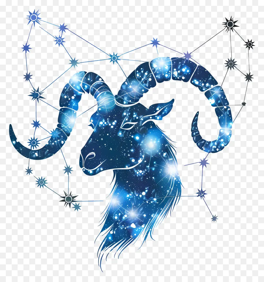 Capricorn，Constelación PNG