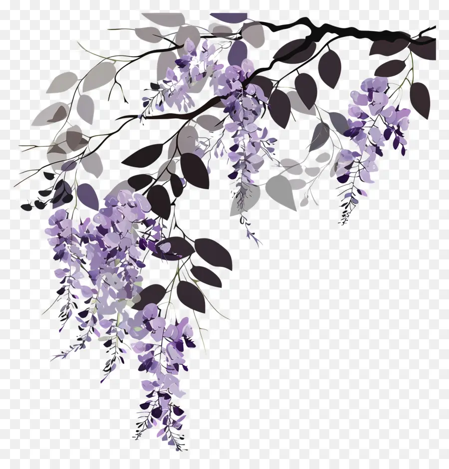 Vina De Glicinia，Wisteria PNG