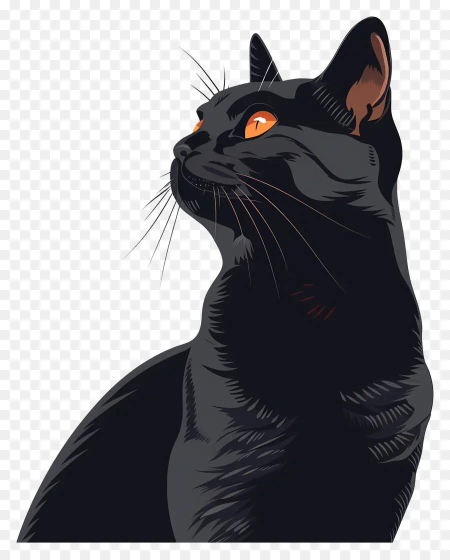 Gato，Gato Negro PNG