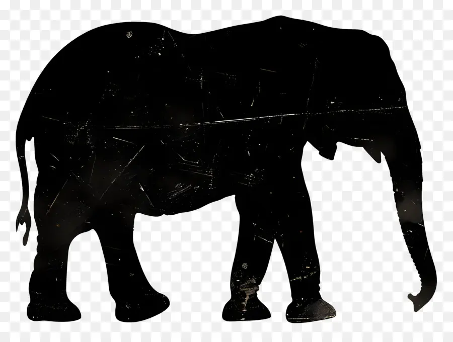 La Silueta De Elefante，Elefante PNG