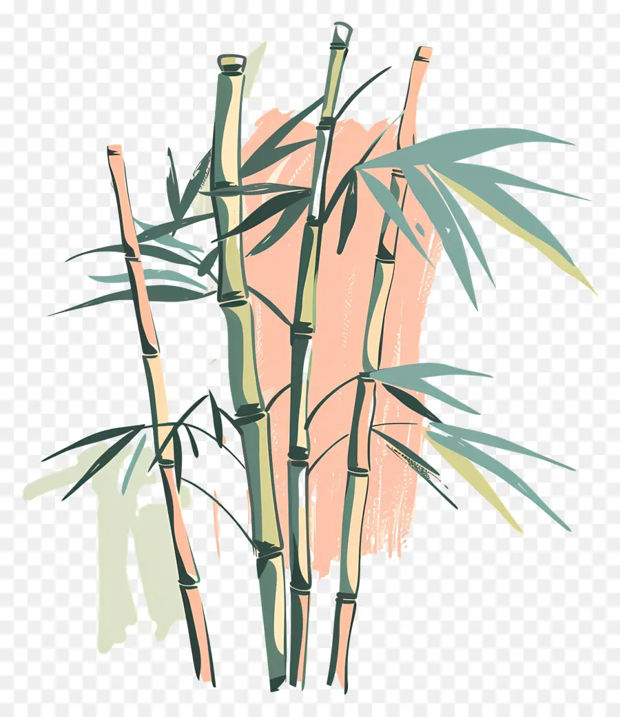 Bambú，Los árboles PNG