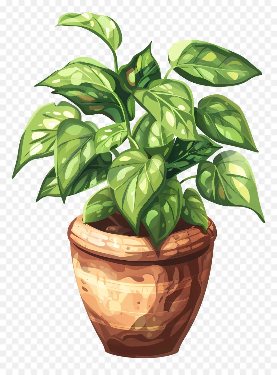 Planta En Maceta，Hojas Verdes PNG